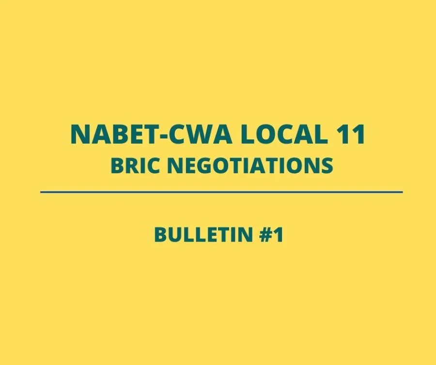 bric_negotiations_bulletin_1.jpg